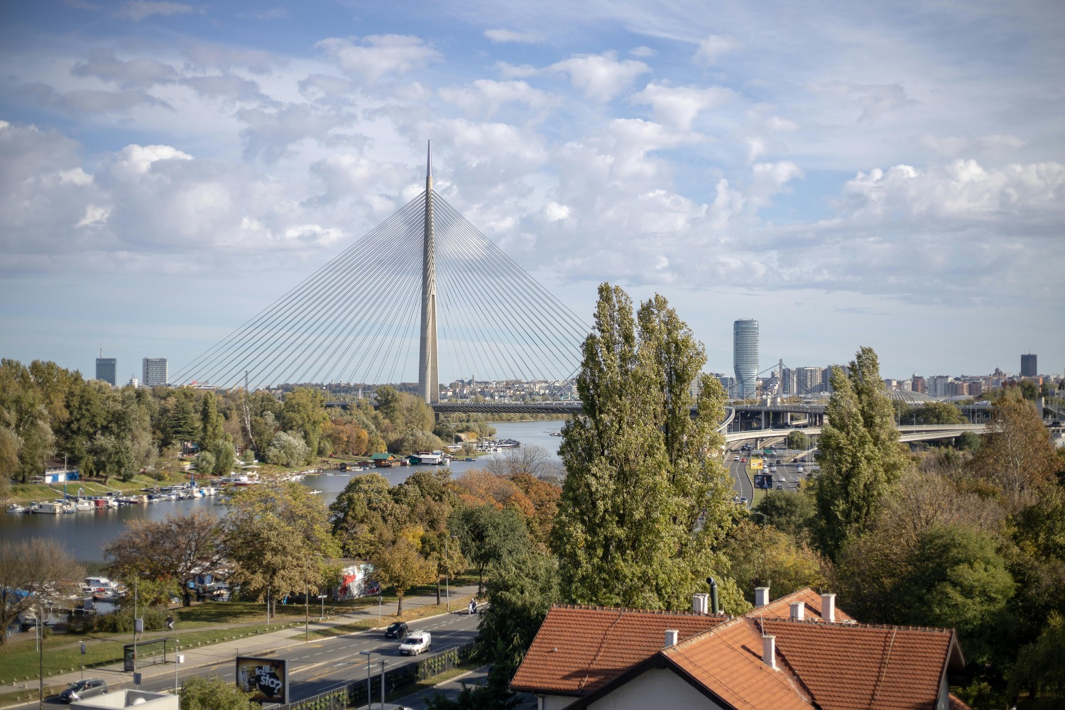Ada Bridge spanning the Sava River near Ada Ciganlija with trees, roads, and Belgrade skyline in the distance