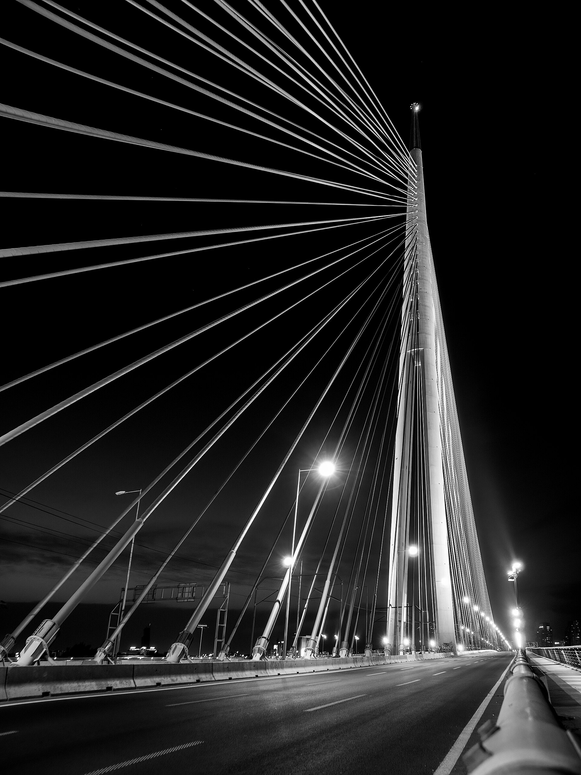 Black-and-white view of Ada Bridge cables and pylon over the roadway in Ada Ciganlija, Belgrade