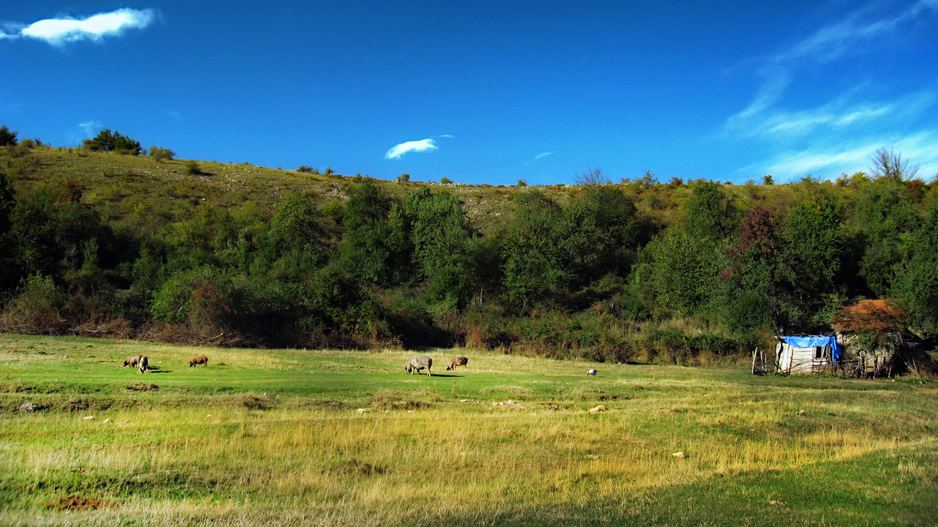 Lazar's Canyon — Bor and Surroundings
