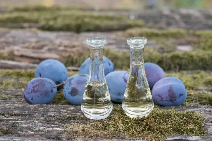 Plums beside two small glass bottles filled with clear rakija on mossy wood