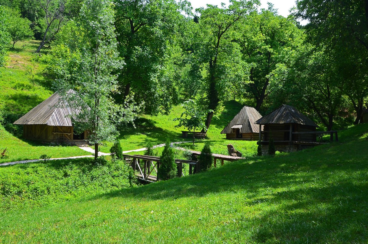 Vrdnik Spa and Fruška Gora — Crafting Rakija in Serbia