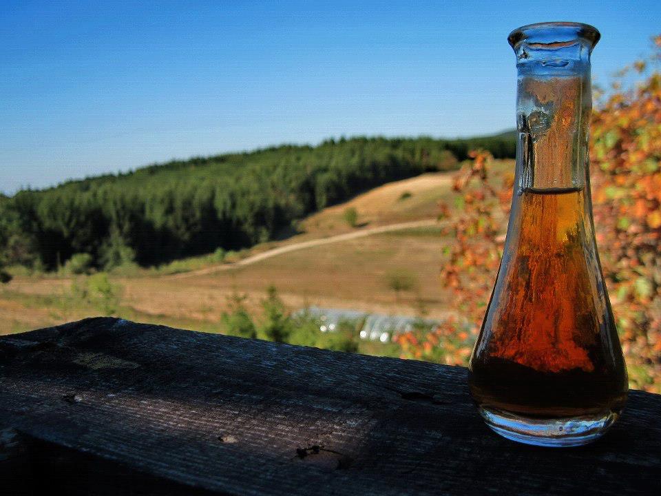 Western Serbia Travel Guide — Crafting Rakija in Serbia