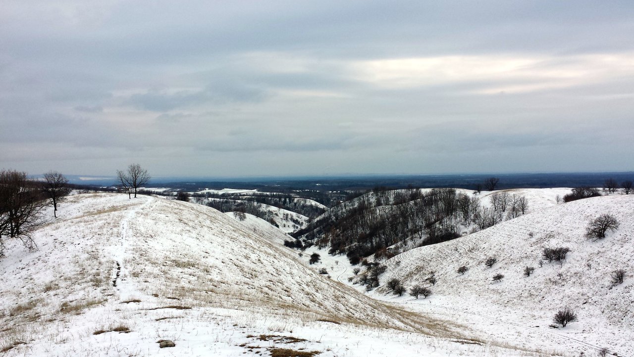 Snow-covered rolling dunes with sparse trees in Deliblato Sands