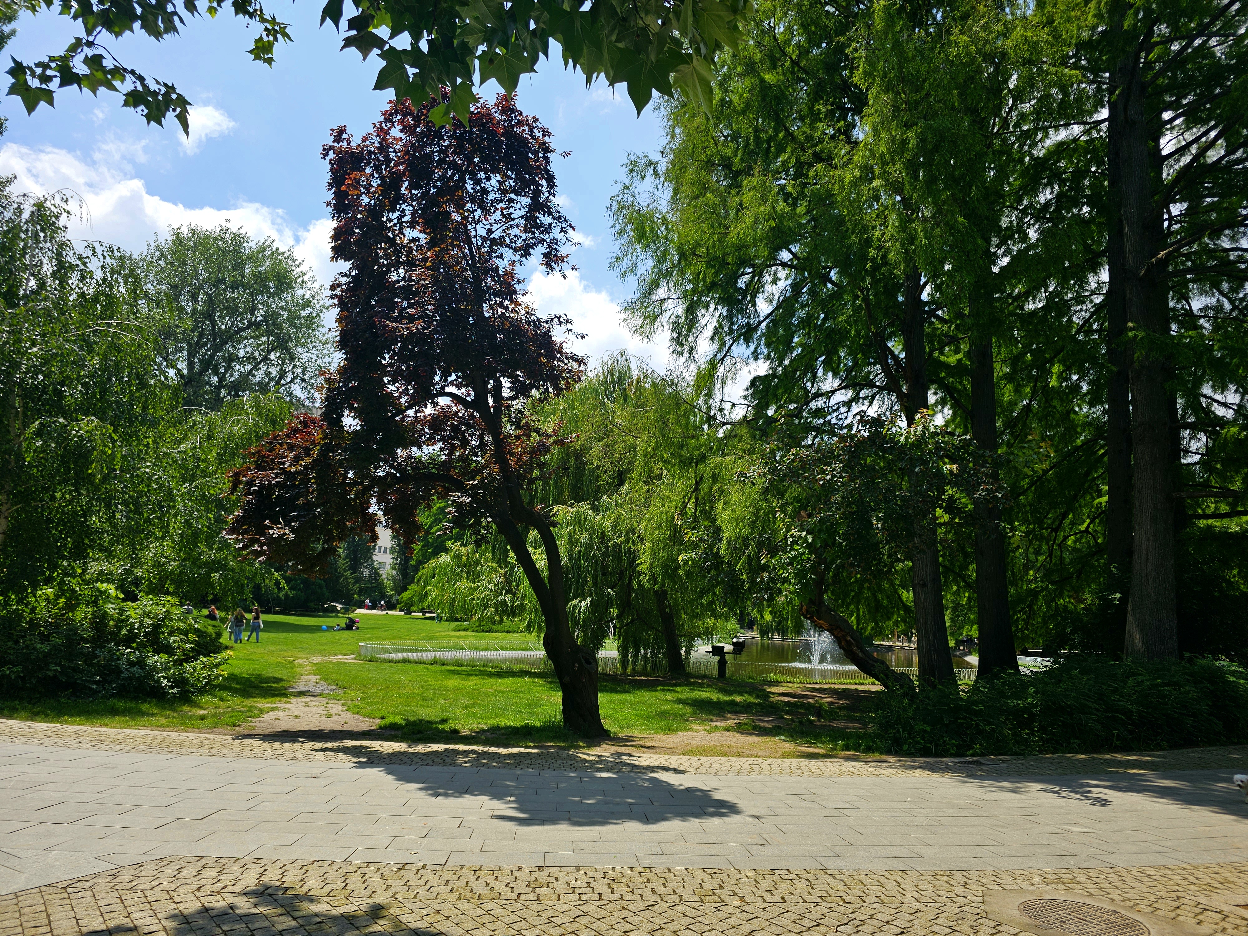 Tree-filled park lawn with a paved path and fountain in Dunavski Park, Novi Sad