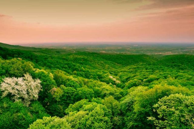 Fruška Gora National Park — from Belgrade
