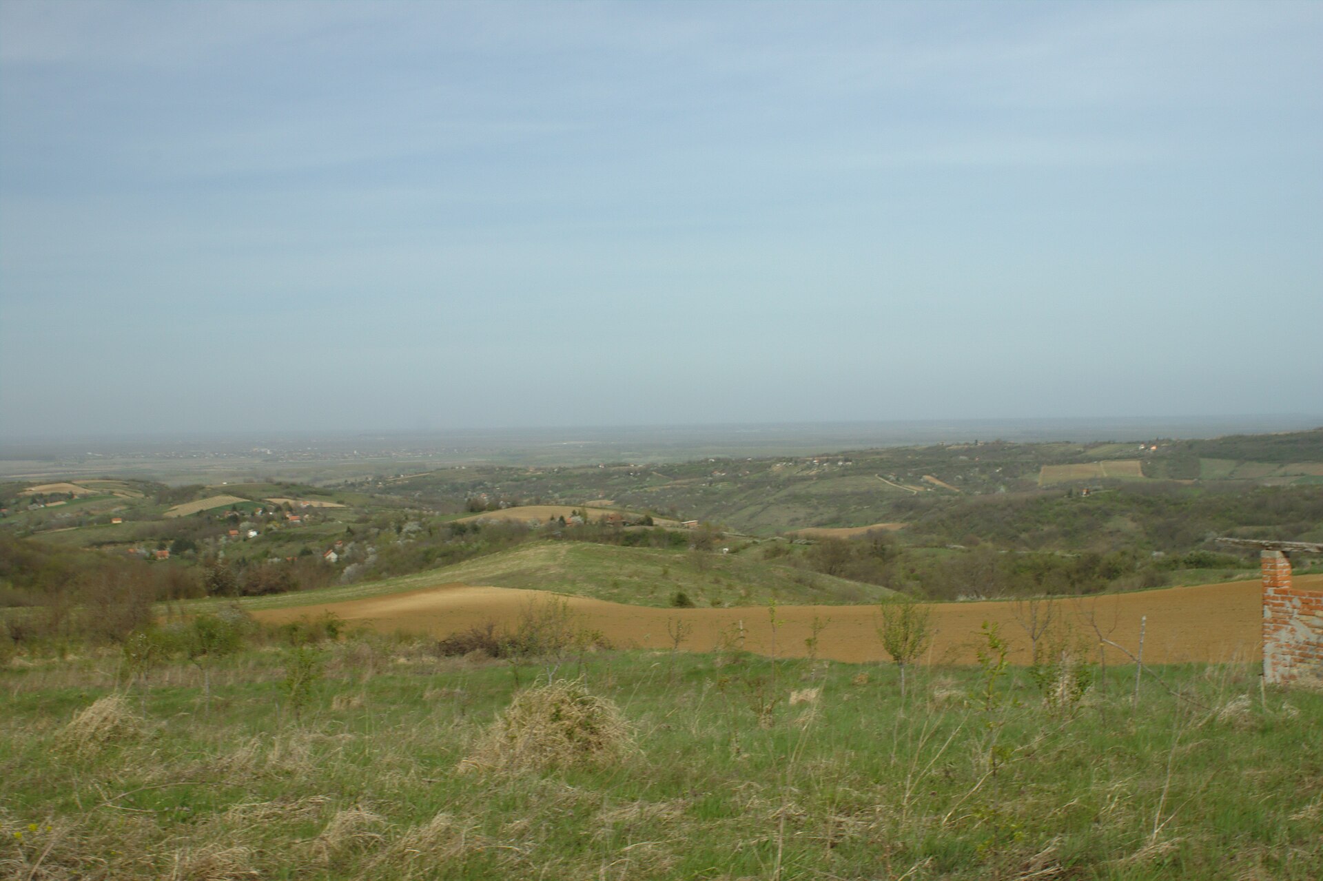Fruška Gora monastery surrounded by trees