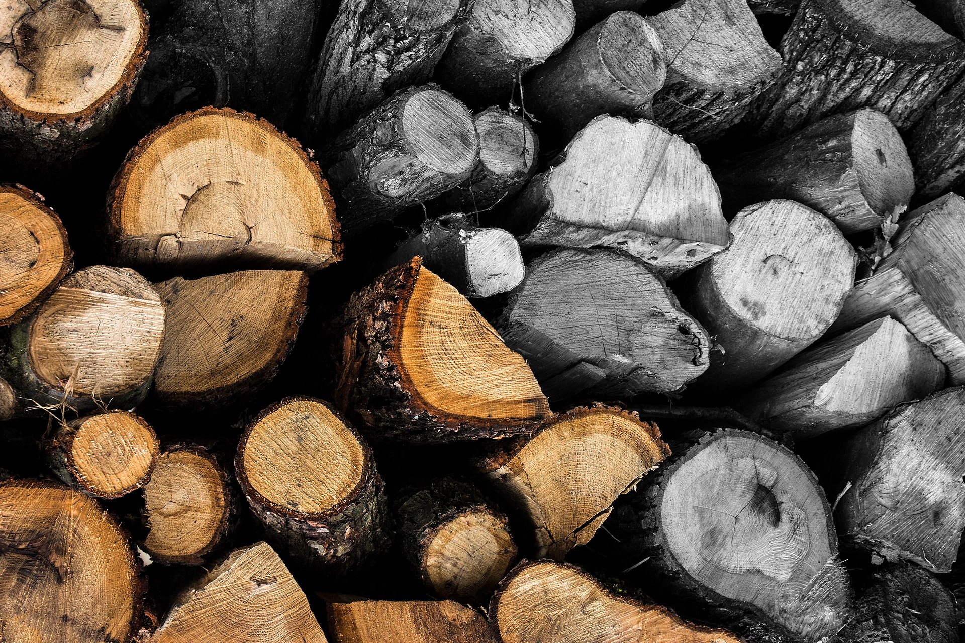 Sremski Karlovci square and historic buildings