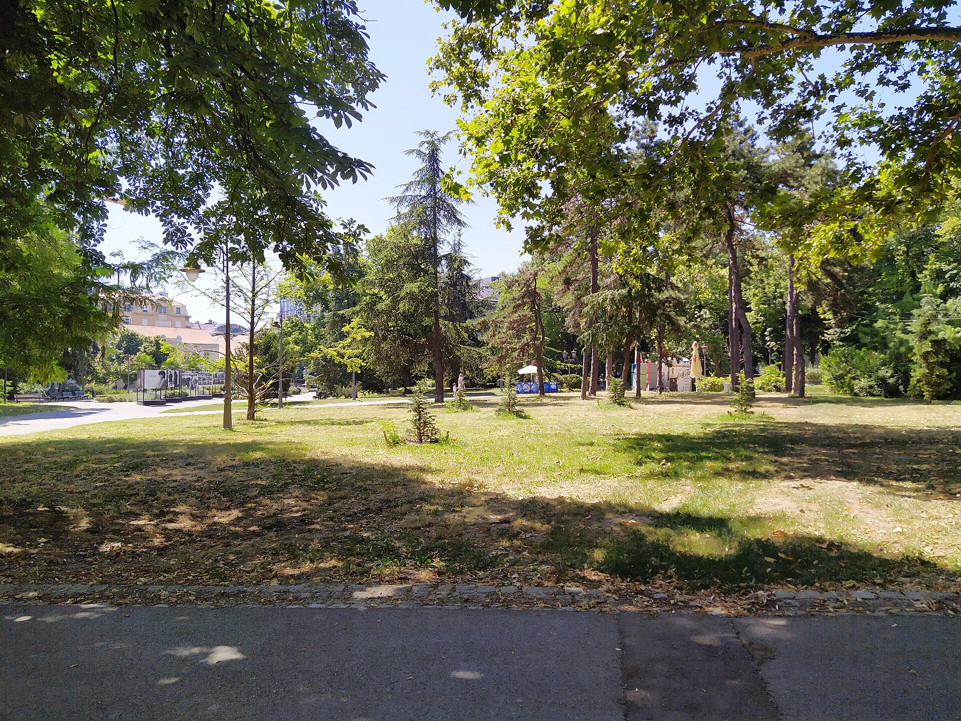 Tree-lined grassy clearing beside a paved path in Kalemegdan Park, Belgrade
