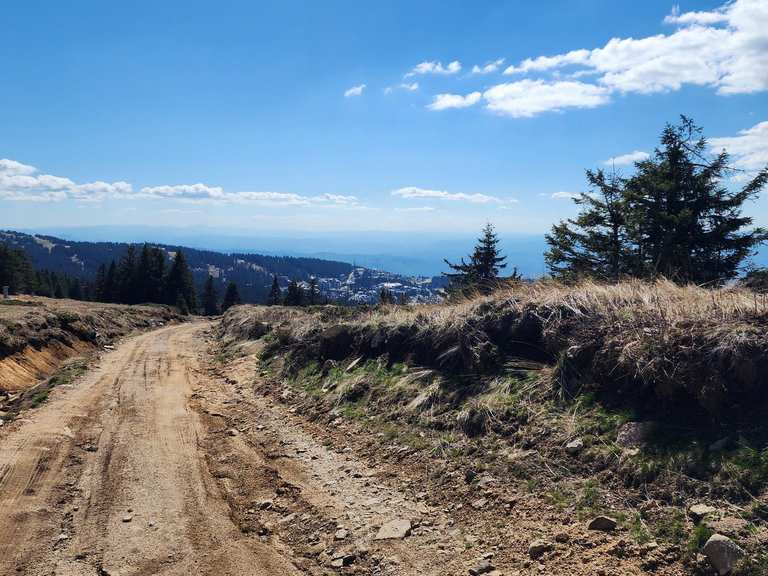 Kopaonik Hiking Routes, Kopaonik | Summer mountain trails