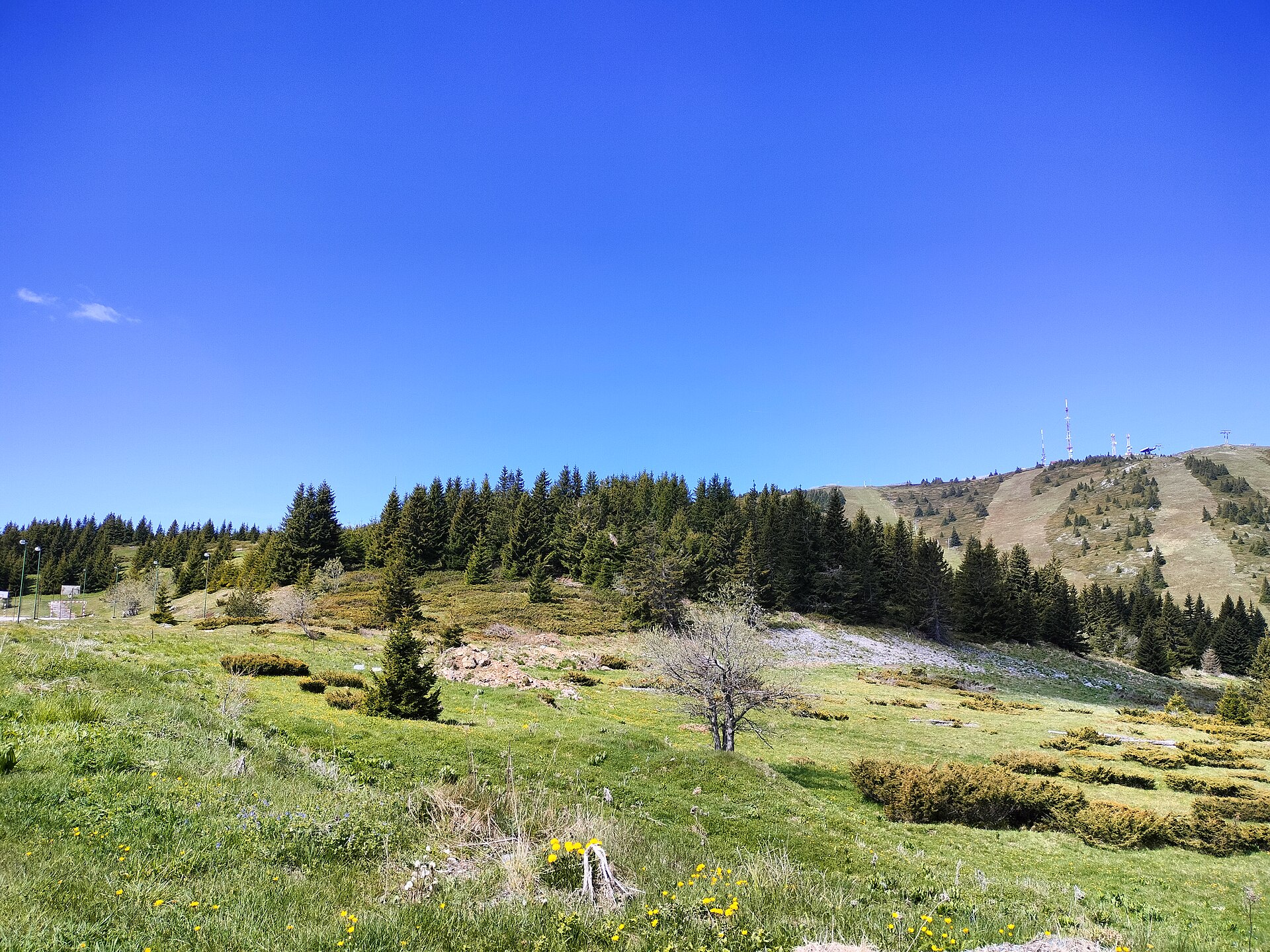 Kopaonik National Park