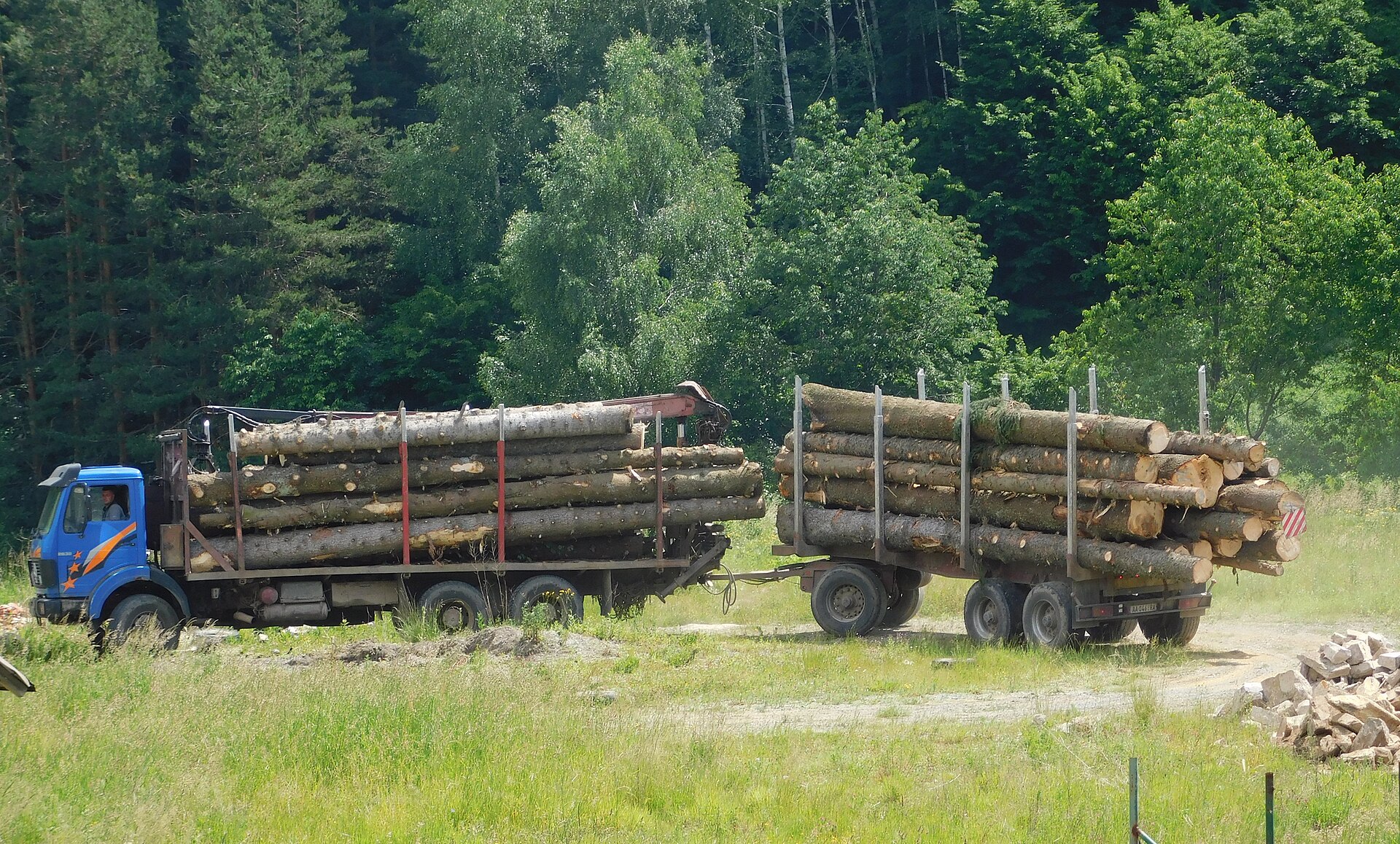 Two logging trucks loaded with timber in a forest clearing in Kopaonik