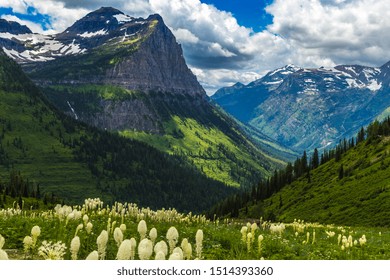 Wide alpine meadow on Kopaonik mountain in Serbia