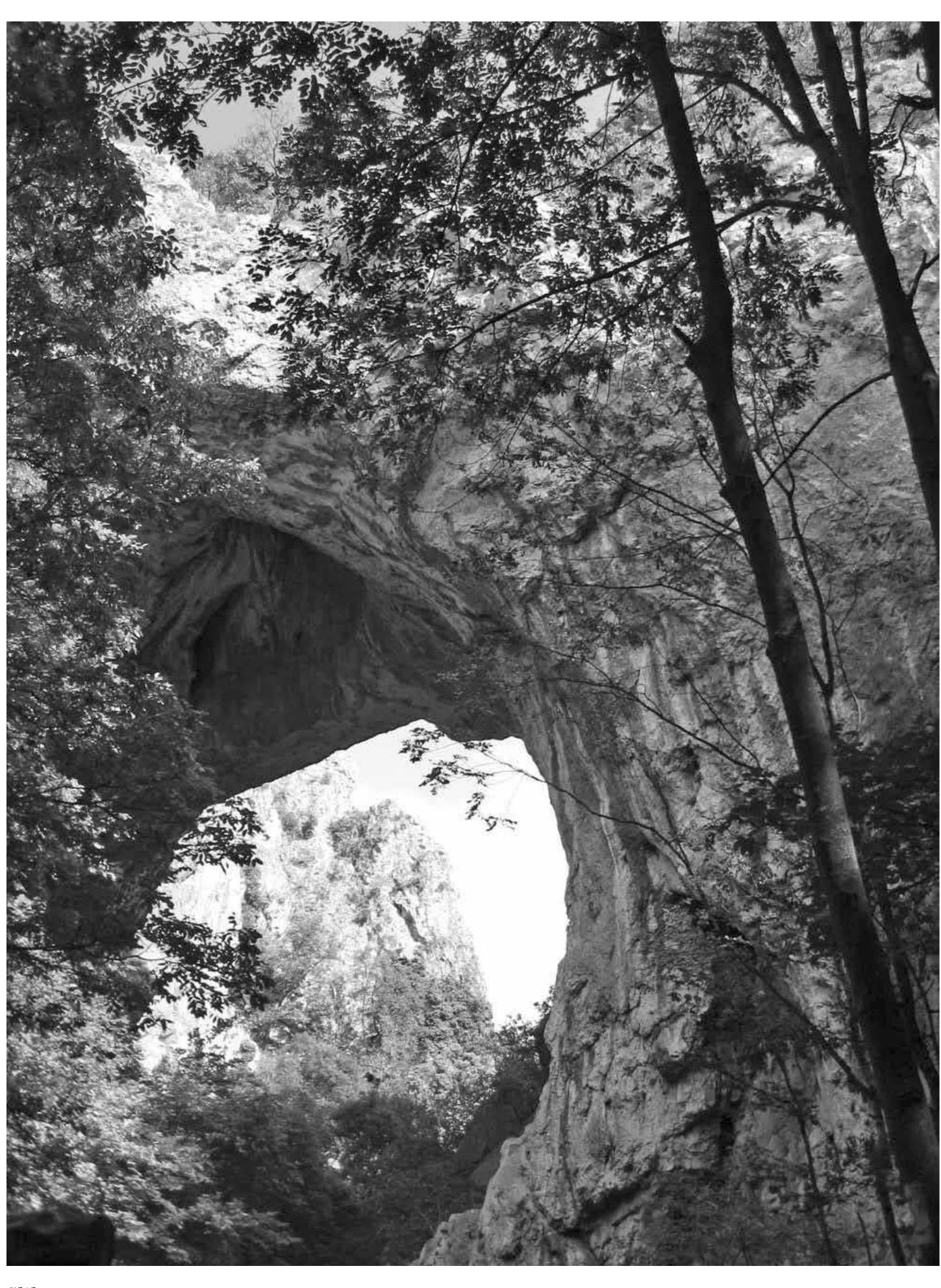 Upper viewpoint around Mokranjske stene — Mokranjske stene, Negotin