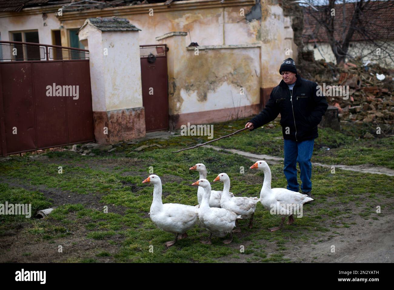Mokrin village setting — Mokrin House, Mokrin