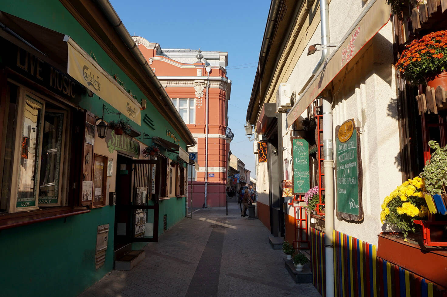 Narrow pedestrian alley in Novi Sad with colorful shops, hanging signs, and flower displays