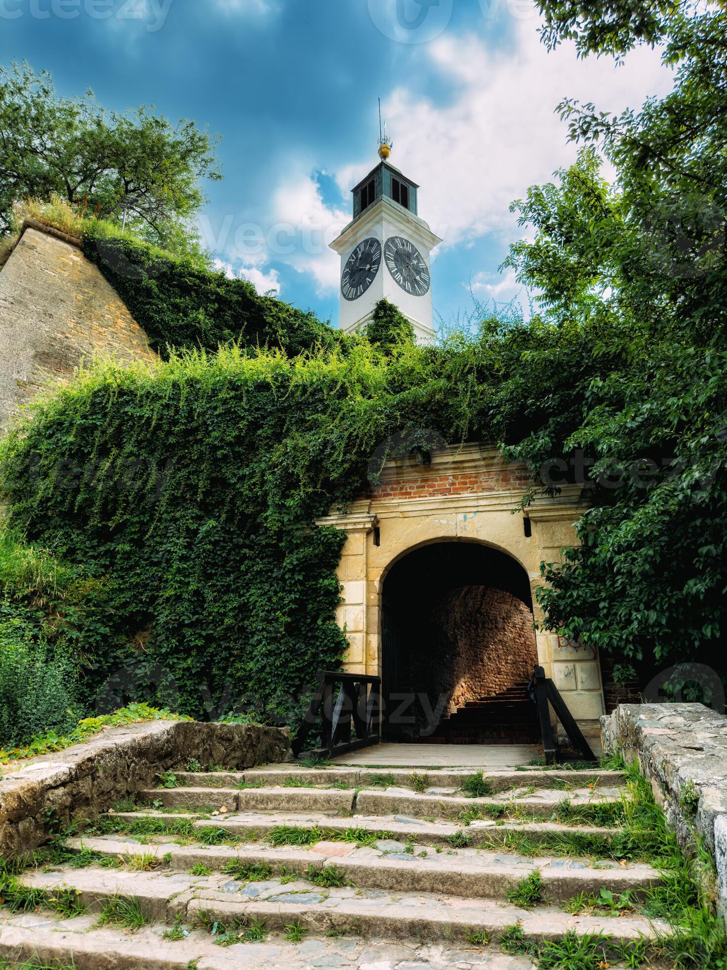 Clock tower above an arched fortress entrance with ivy-covered walls at Petrovaradin Fortress