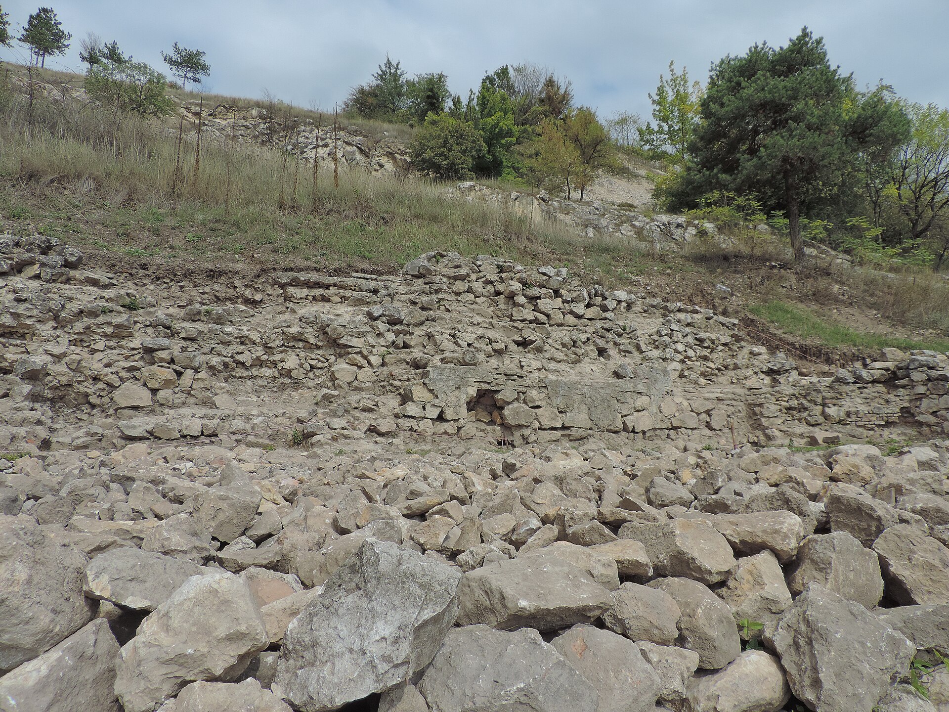 Rough stone ruins on a grassy hillside with scattered trees in Pirot
