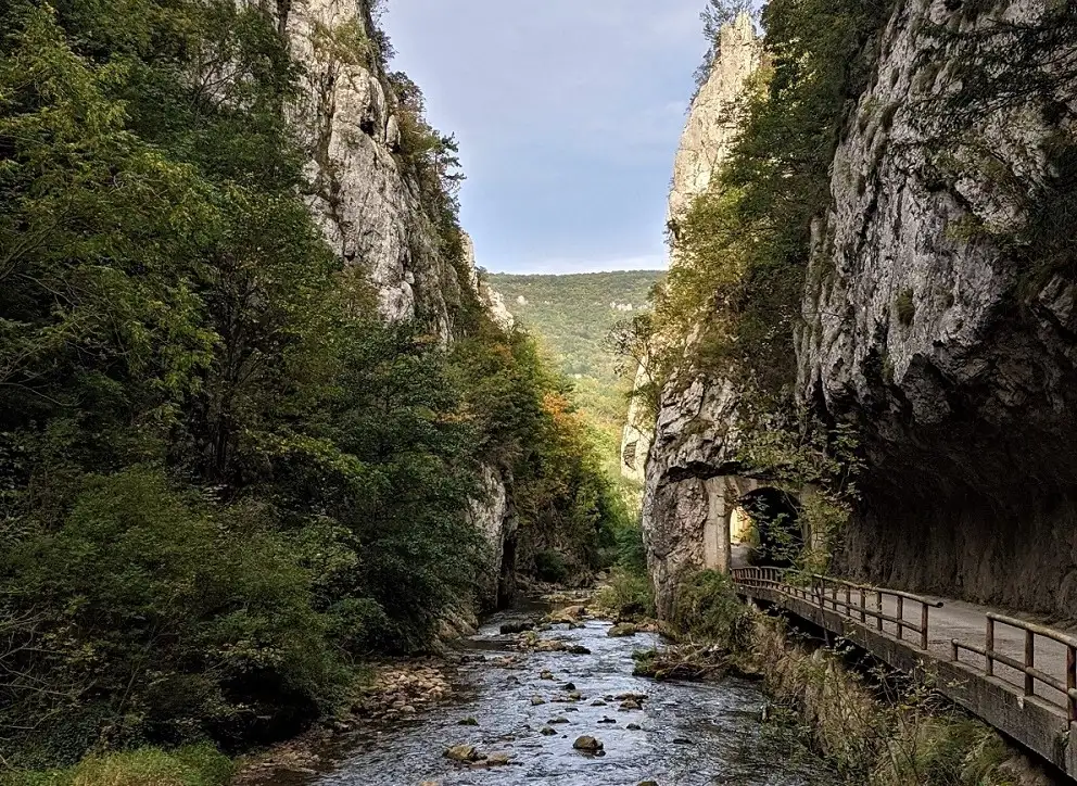 Jerma Canyon