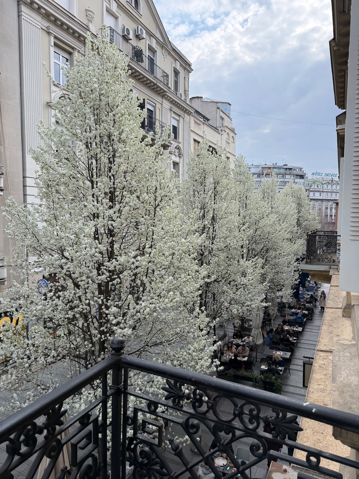 Balcony view over white-blossoming trees, street cafes, and nearby buildings at the Residence of Princess Ljubica