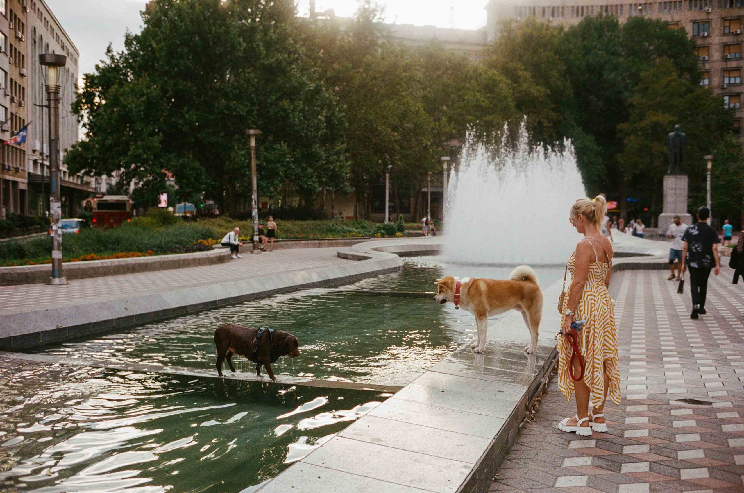 Woman with two dogs beside a large fountain in a tree-lined urban plaza