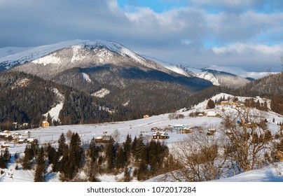 Snow-covered mountain slopes and pine forests in Serbia beneath a cloudy winter sky