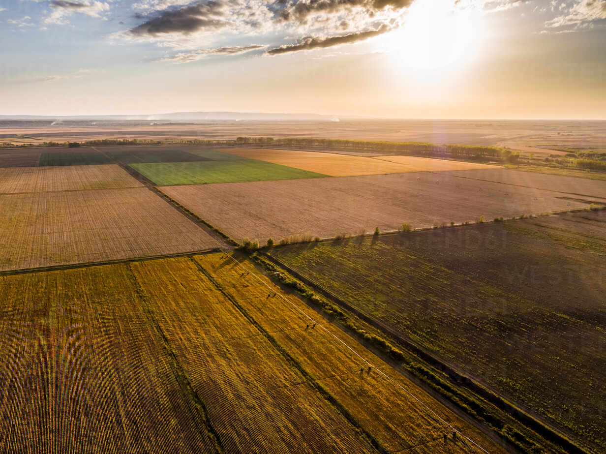 Vojvodina countryside with vineyards and low rolling fields near Novi Sad