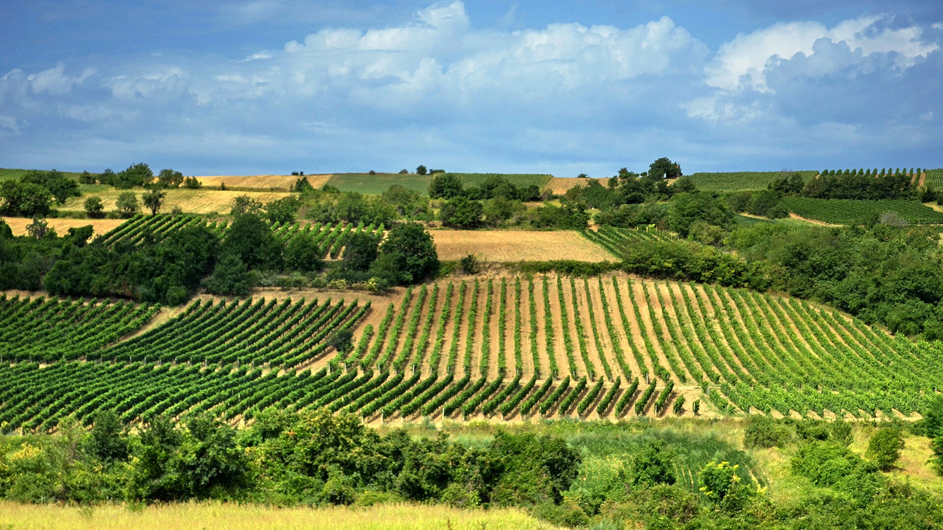 Western Serbia mountain landscape with forests and winding roads