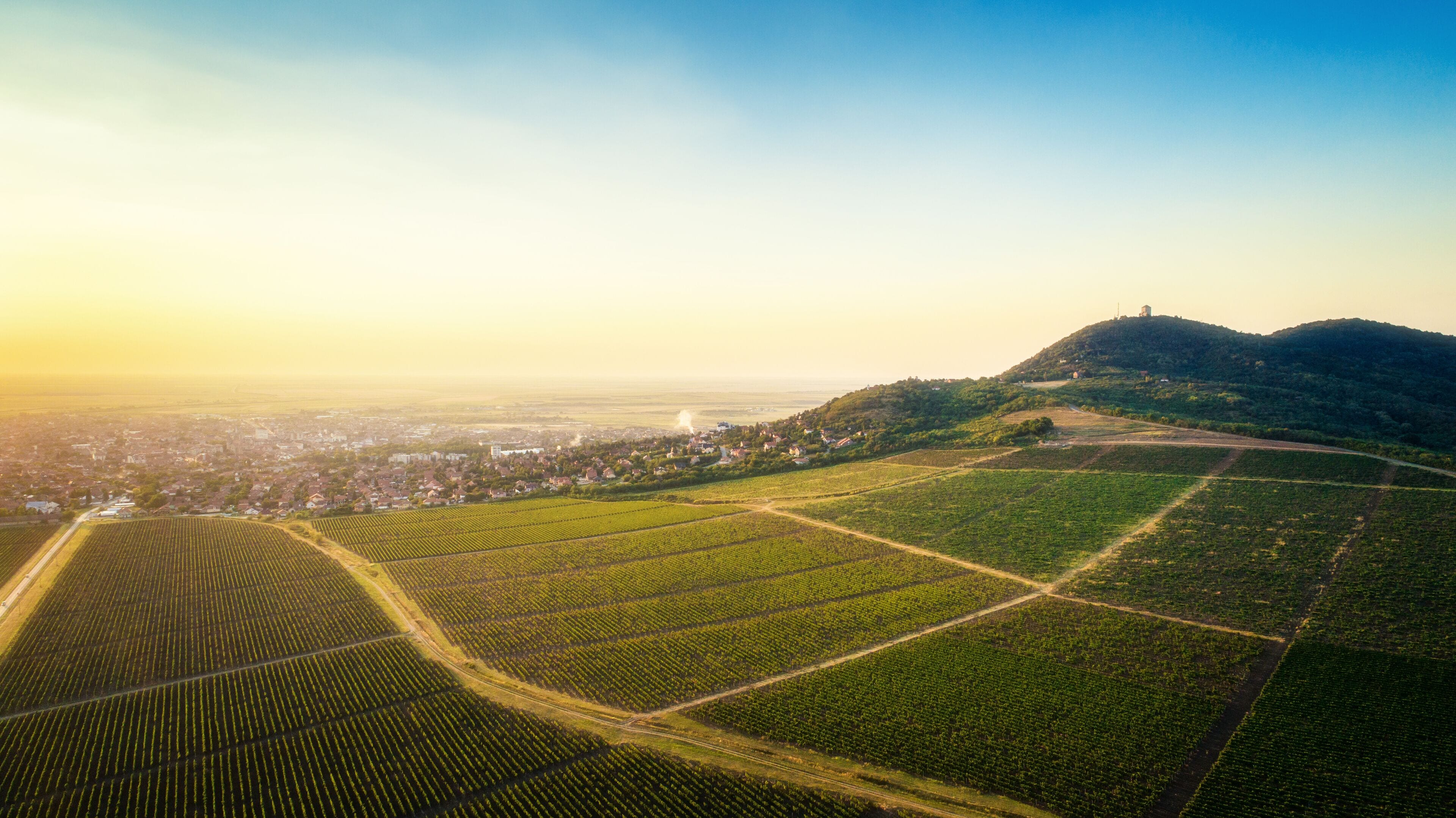 Aerial view of vineyard fields, a hillside town, and a sunlit ridge in Serbia's wine regions