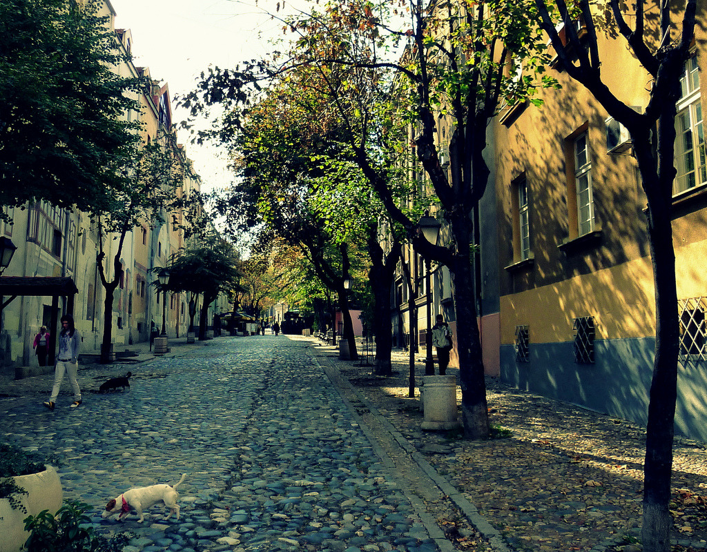 Cobblestone lane — Skadarlija, Belgrade