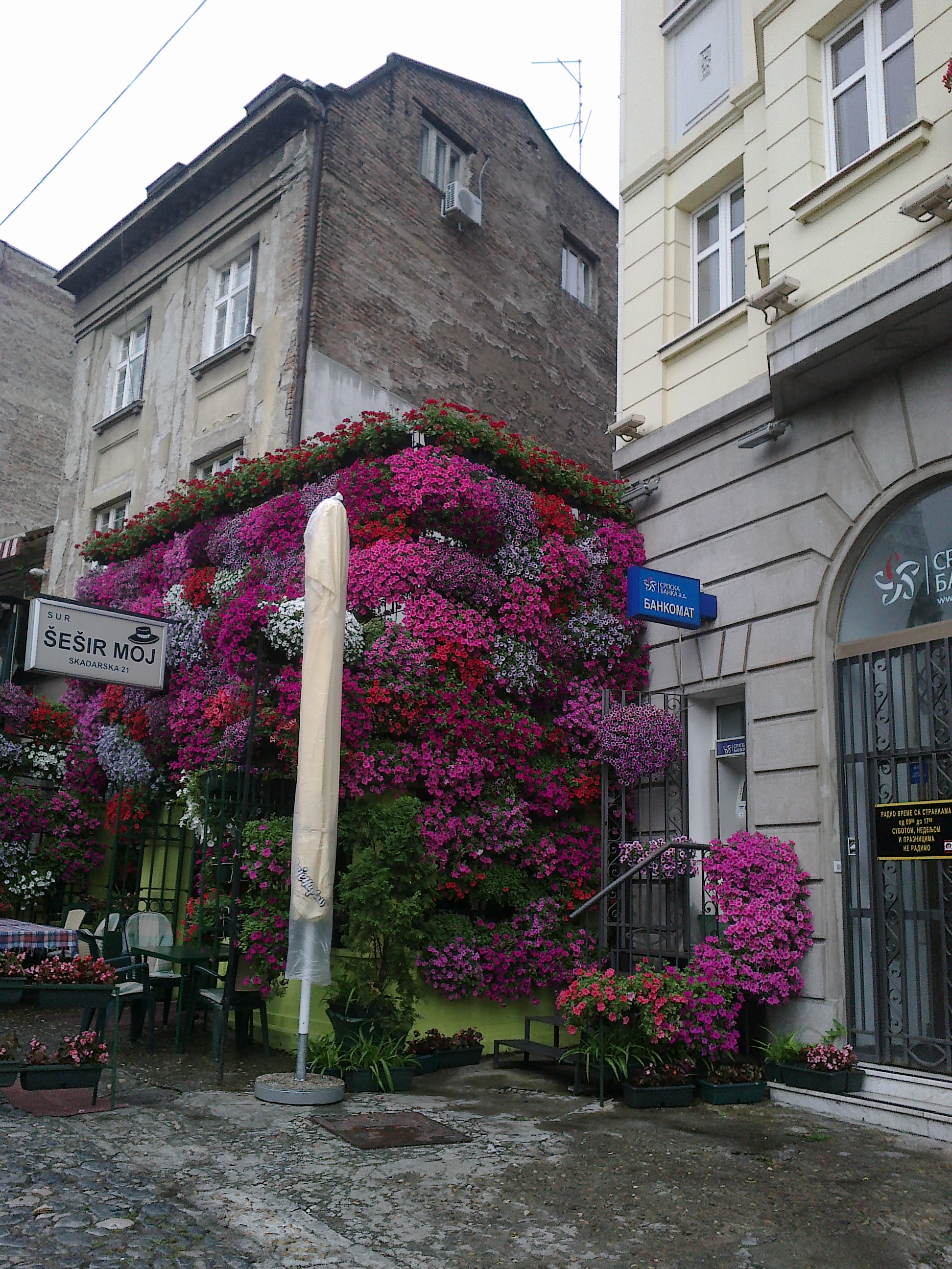 Šešir moj — Skadarlija, Belgrade