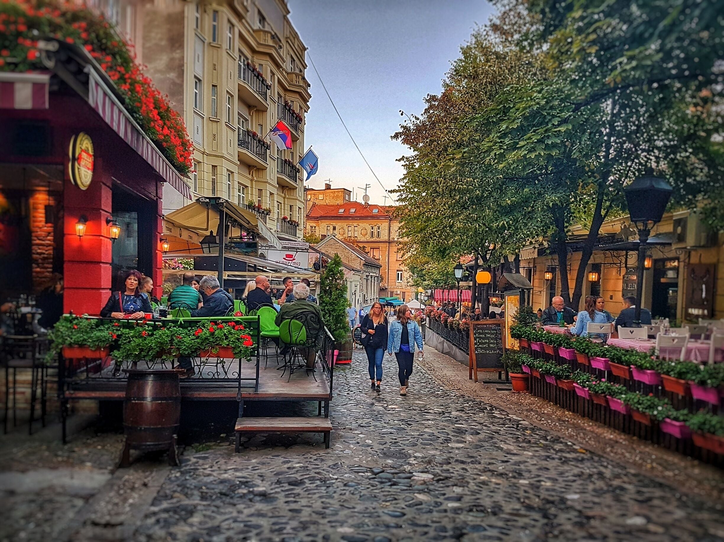 Zlatni bokal — Skadarlija, Belgrade
