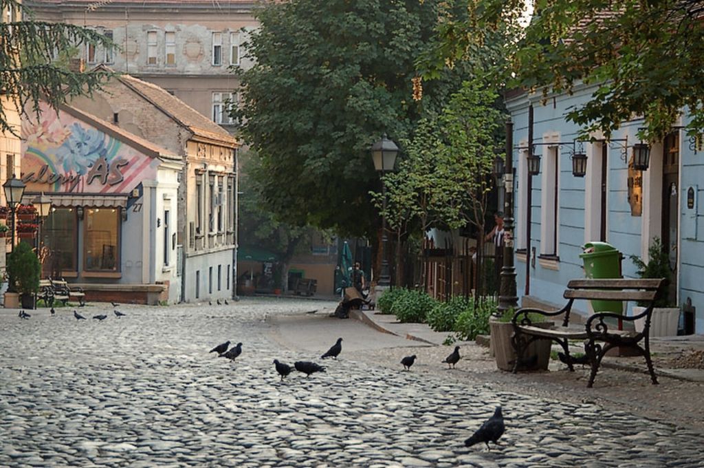 Cobblestone street with pigeons, benches, and historic buildings in Skadarlija, Belgrade