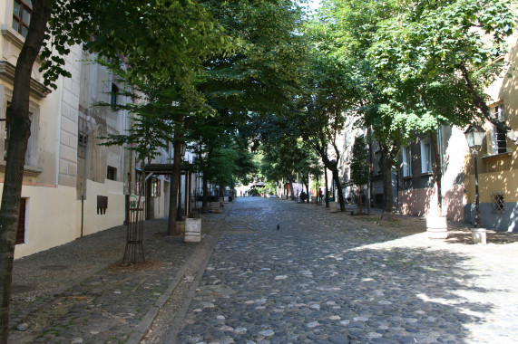 Cobblestone street shaded by trees in Skadarlija Bohemian Quarter, Belgrade