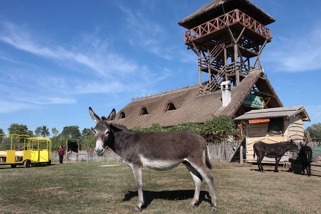 Zasavica Special Nature Reserve