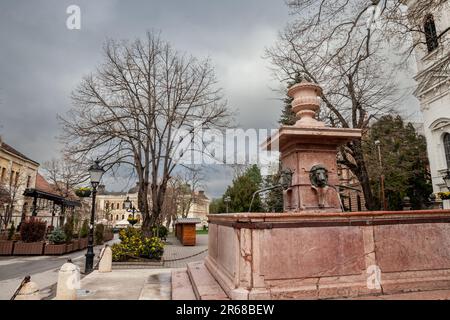 Four Lions Fountain — Sremski Karlovci, Novi Sad