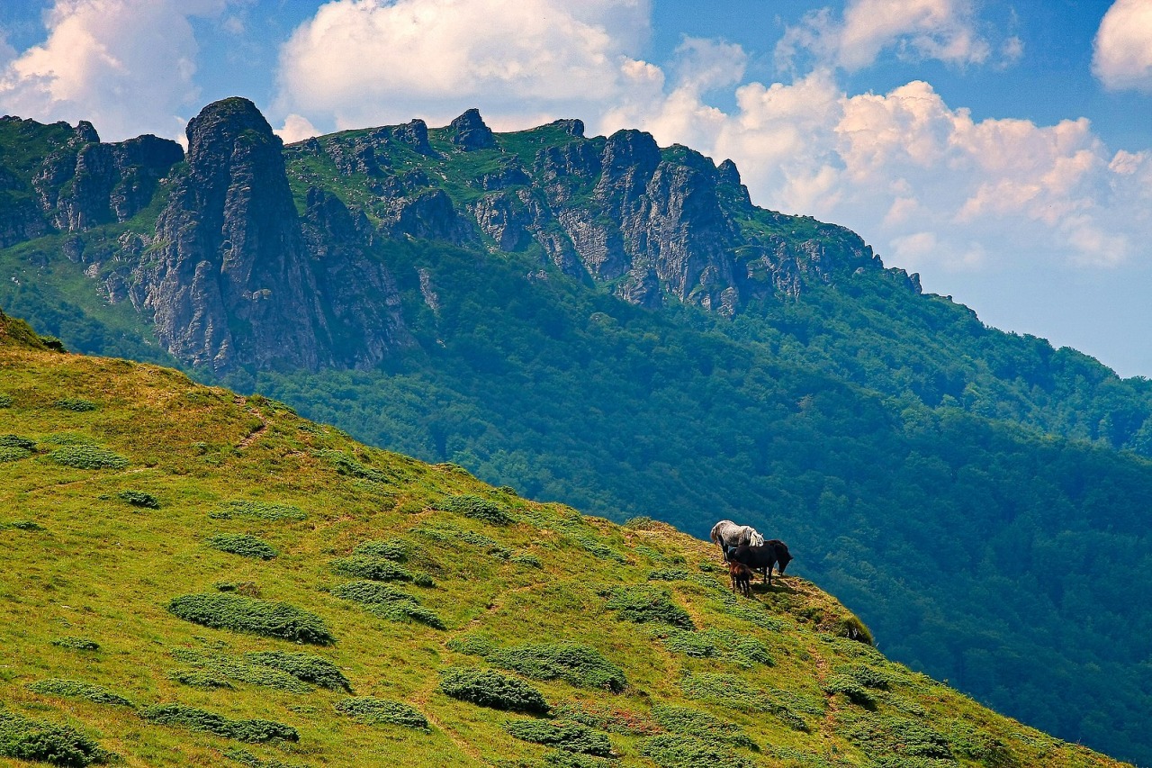 Grassy hillside with grazing horses beneath a rocky ridge in Stara Planina