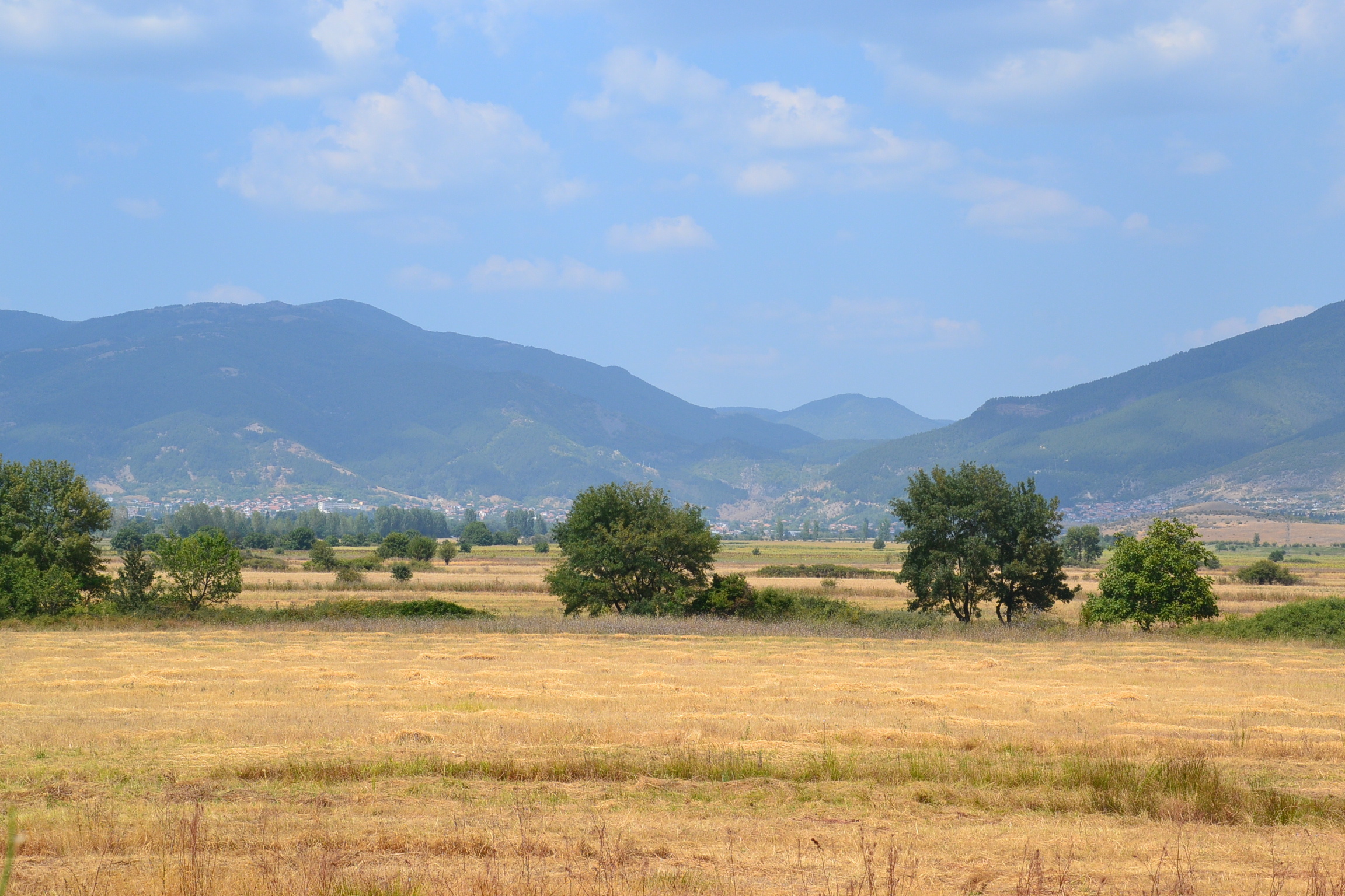 Dry meadow with scattered trees and distant mountain ridges in Stara Planina