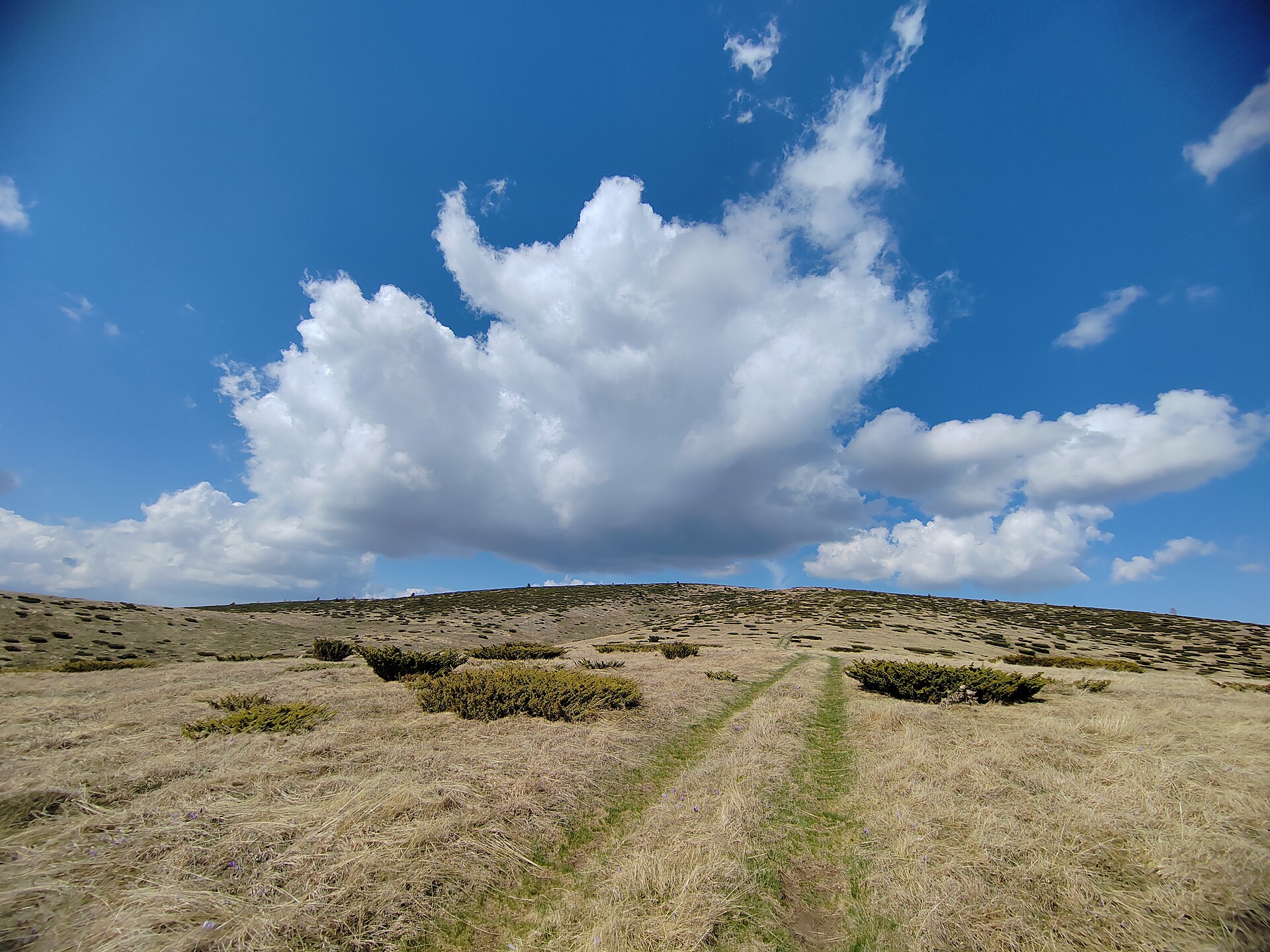 Grassy mountain meadow with a faint track under large clouds in Stara Planina