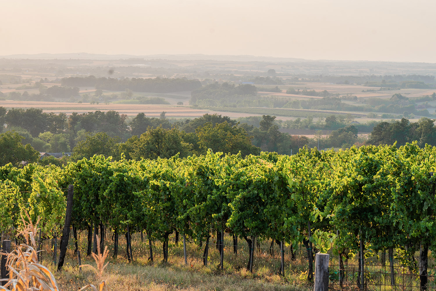 Kruševac, Serbia — medieval capital with easy day trips