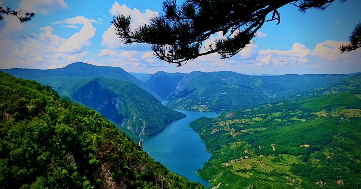 Drina River winding through forested mountains and valleys in Tara National Park