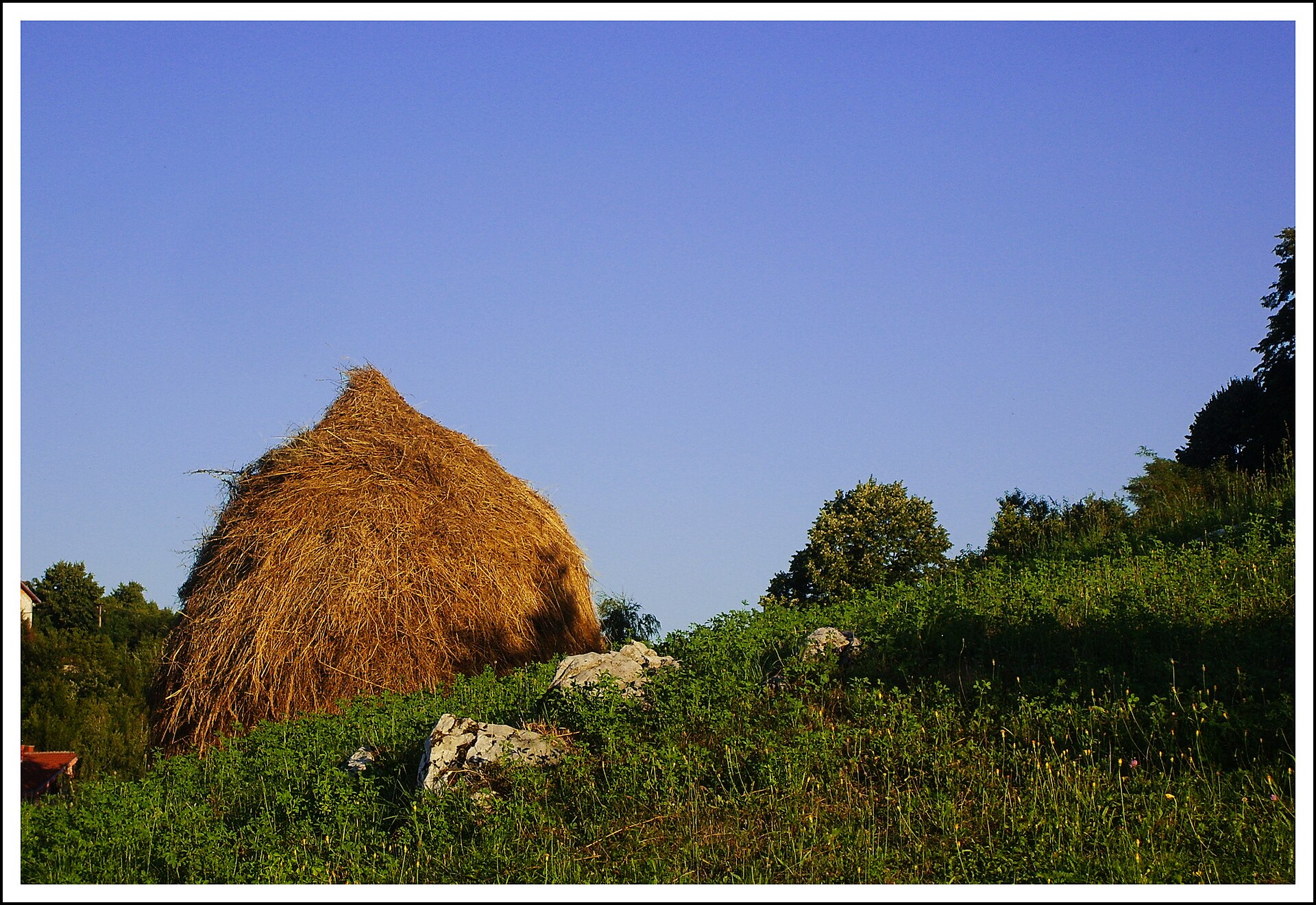 Large haystack on a grassy hillside in Valjevo with trees and rocks nearby
