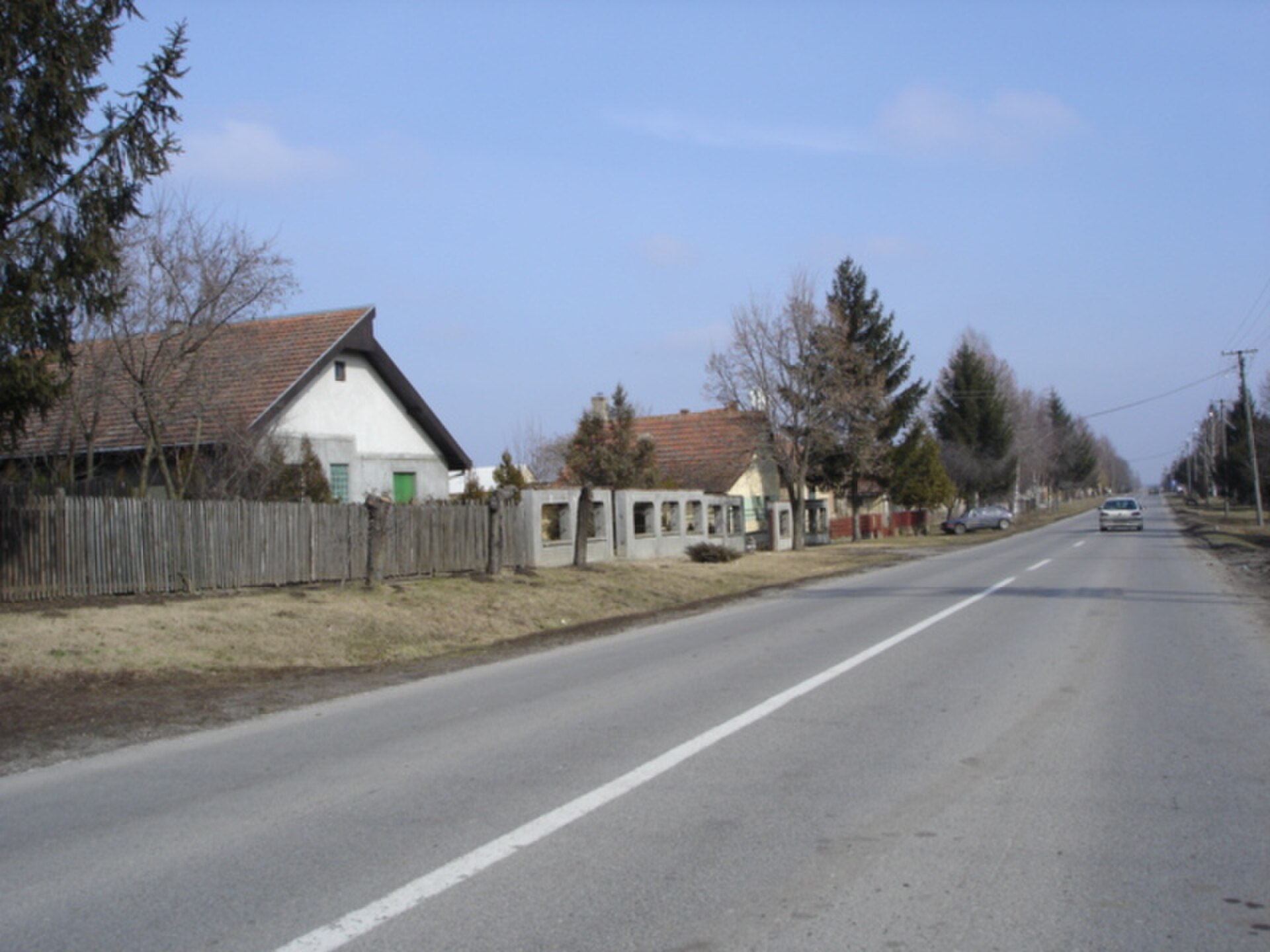 Straight rural road with houses, fences, and leafless trees in Vojvodina
