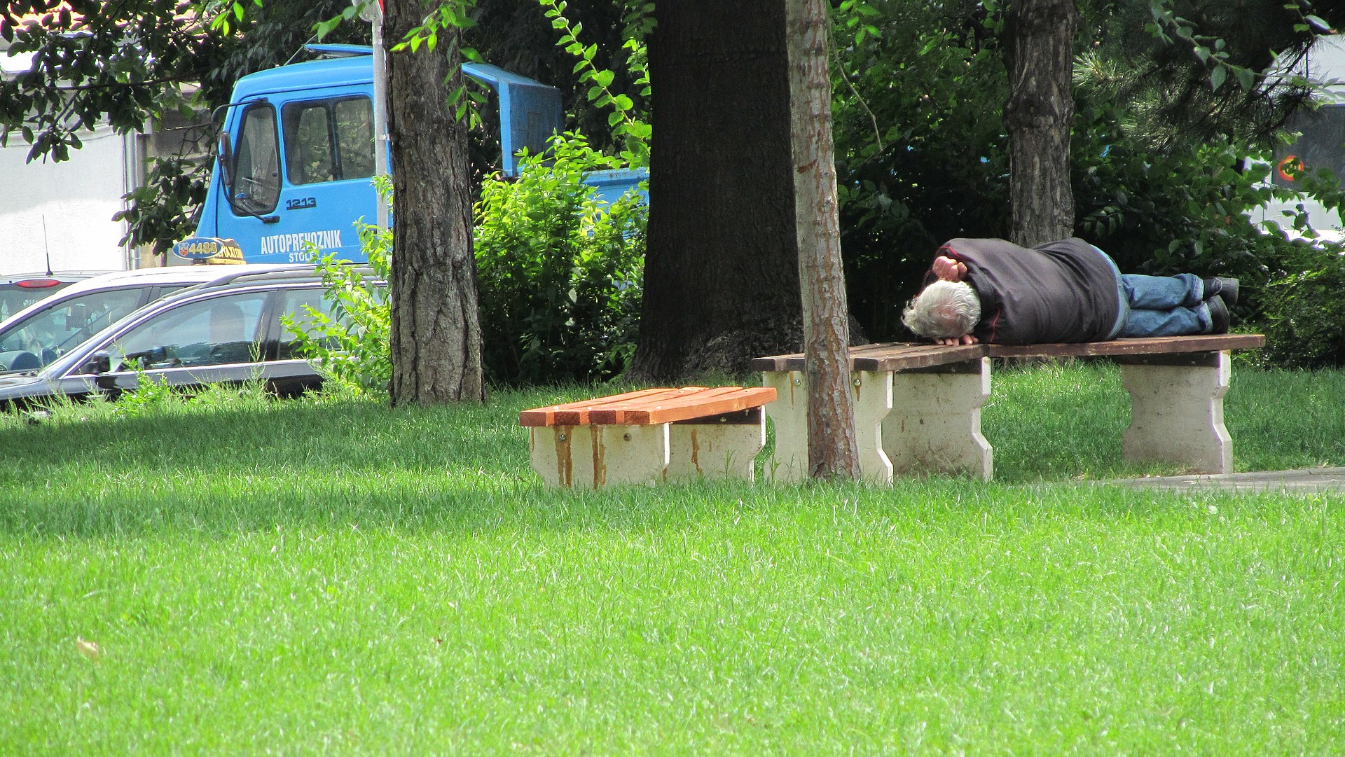 Man lying on a park bench in grassy Vračar, Belgrade, with trees and parked vehicles nearby