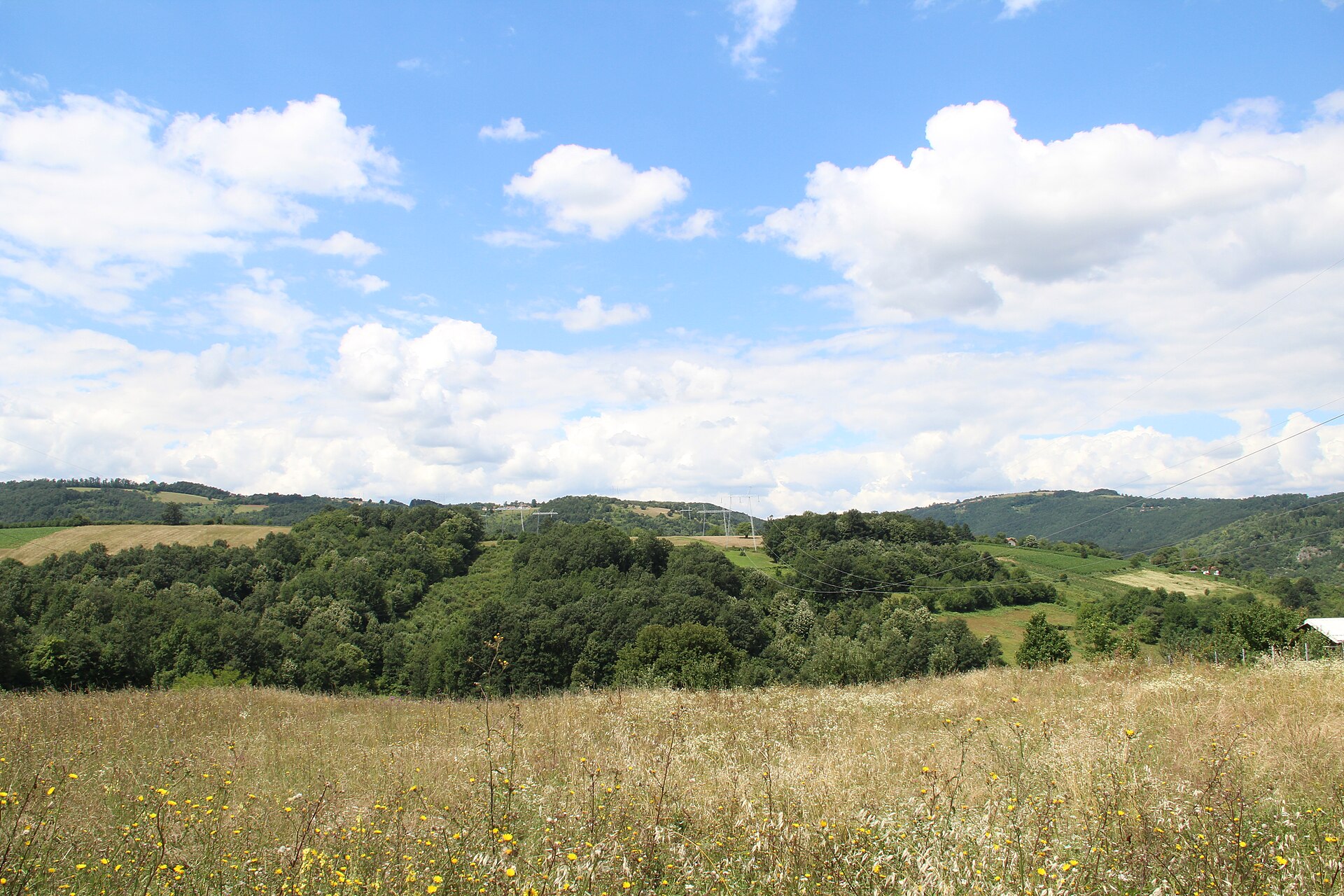Valjevo