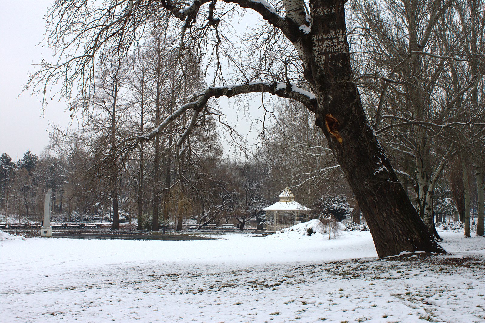 Danube Park and the Ice Forest