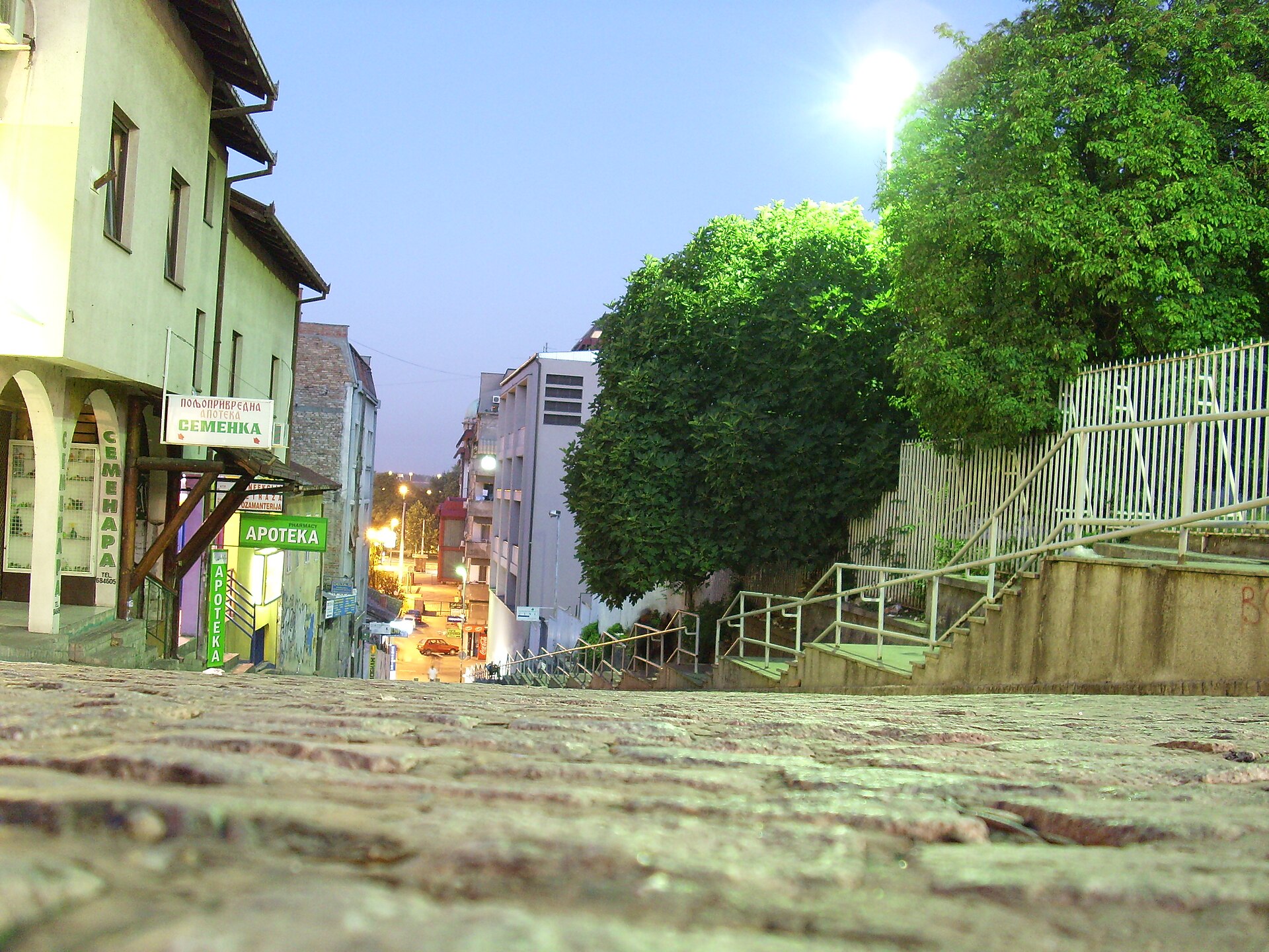 Steep cobblestone stairway with railings, trees, and pharmacy signs in Zeleni Venac, Belgrade