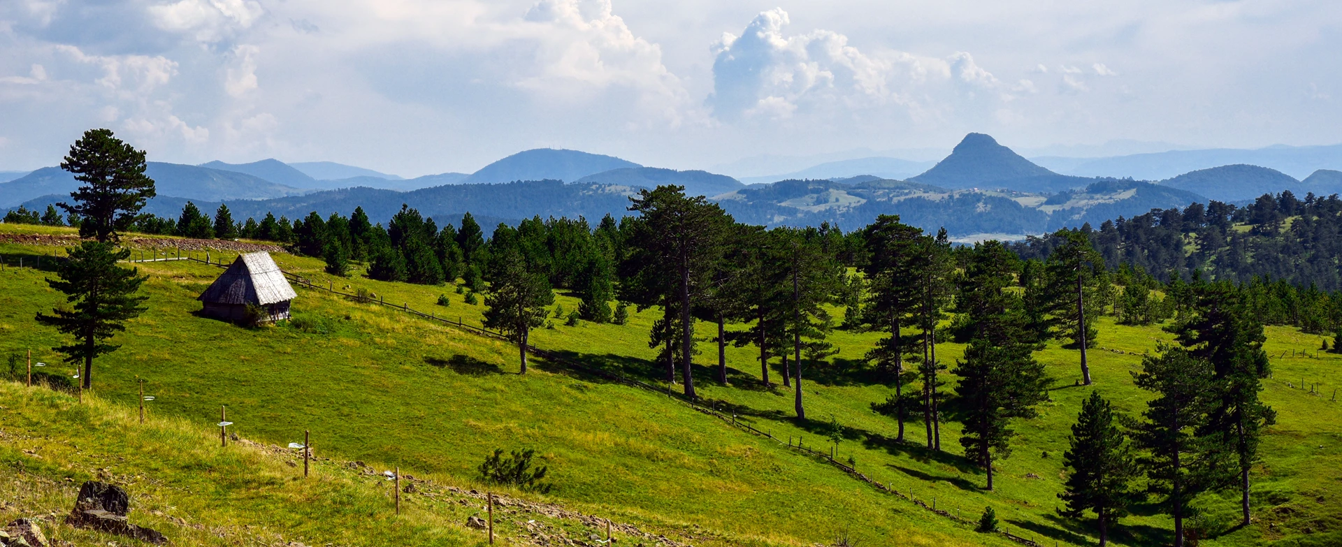 Green hills with pine trees, a small wooden hut, and distant mountain ridges in Zlatibor