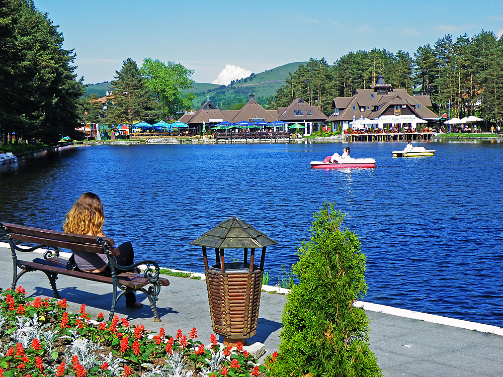 Hiking trails through Zlatibor pine forests