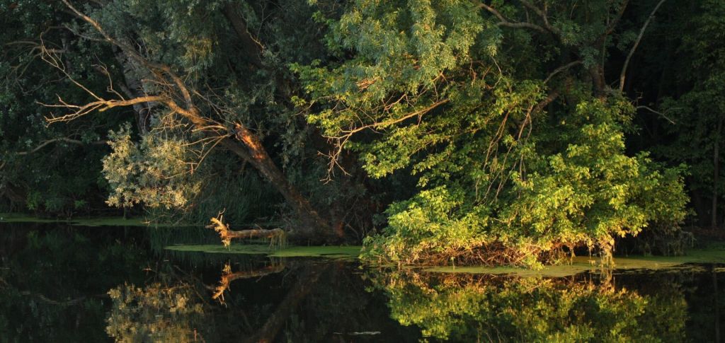 Carska Bara, Vojvodina, Serbia