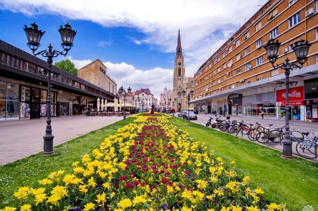 City Celebrations On Liberty Square, Liberty Square, Novi Sad